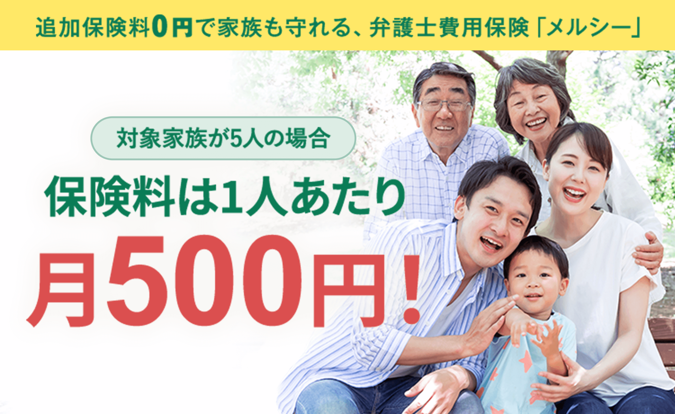 保険料は1人あたり月500円!(対象家族が5人の場合)